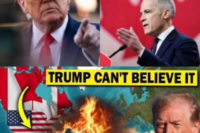 Trump Didn’t See This Coming: Canada Breaks $13 Billion Deal with US and Turns to EU!