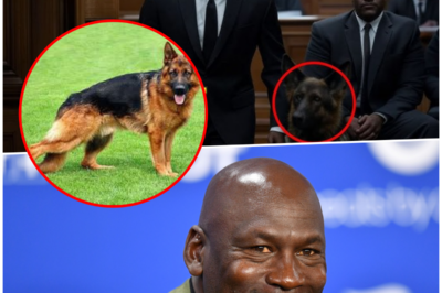 Michael Jordan Gives a Secret Signal to Her Dog – Judge Stops the Courtroom in Shock!