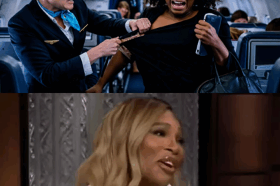 Flight Attendant Rips JSerena Williams Black Dress And is Immediately Fired by Her!