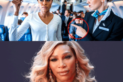 Flight Attendant Refused to Let Serena Williams Sit in First Class—Turns Out She Owns the Plane…