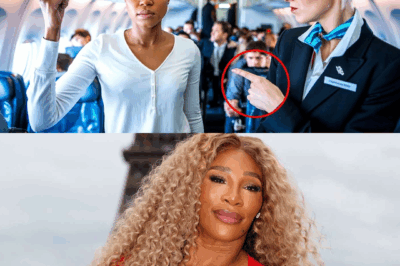 Flight Attendant Refused to Let Serena Williams Sit in First Class—Turns Out She Owns the Plane…