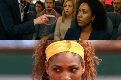 Flight Attendant Shouts at Serena Williams—She Makes One Call, and the Entire Team is Fired!