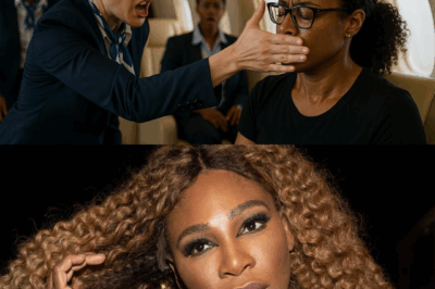 Cabin Crew Slaps Serena Williams, Unaware She’s the CEO Who Owns the Plane