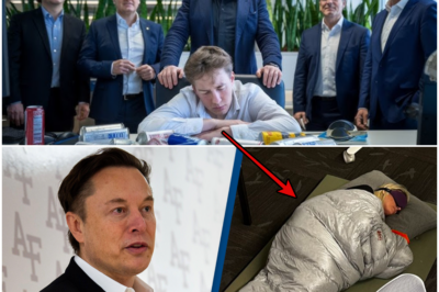 A Tesla Employee is Caught Sleeping at Work—Elon Musk’s Response Shocks the Entire Office!