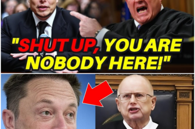 Judge INSULTS Elon Musk in Court — 10 Minutes Later, He Turns the Tables and Gets the Judge Arrested