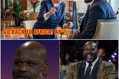 Racist Karen Tells Big Shaq to Leave His Own Hotel — What Happens Next Will Blow Your Mind!