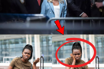 BREAKING: Flight Attendant Cancels Black Teen’s First-Class Ticket—Unbeknownst to Her, Karoline Leavitt Was Observing from the Luxury Lounge