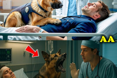 German Shepherd Bids Farewell to Its Police Owner – But Then It Stops the Doctor in Shock!