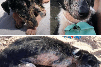 The day she came was like the end of the world… and then, from the ashes, she chose to live on