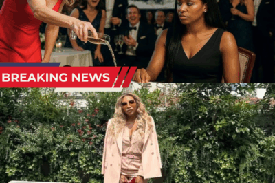 A VIP Donor Insults Black Woman—Not Knowing She’s the Founder! (Serena Williams’ Story)