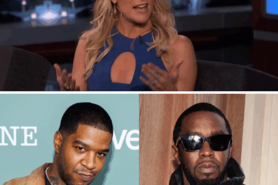 Megyn Kelly fires up over ‘dirtbag derelict loser’ Diddy amid explosive new allegations