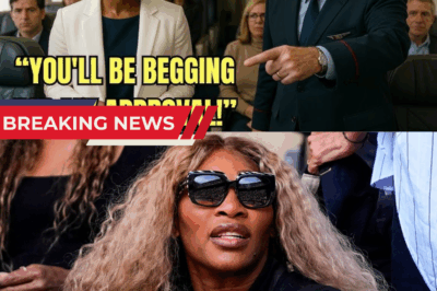 Serena Williams Was Kicked Out Of First Class—Then The Airline Lost $500M Overnight