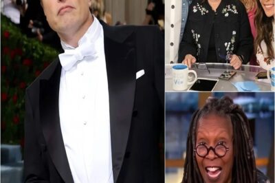 BREAKING NEWS: Elon Musk has called for a boycott of The View, calling it a “meeting place for stupid women.” The entire cast has since responded in outrage.