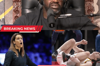 Shaquille O’Neal Criticizes Stephanie White During Fever’s Loss: “Without Caitlin, She Can’t Do Anything”