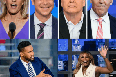 Serena Williams Delivers Masterclass in Critical Thinking During Fox News Interview