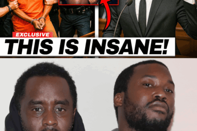 Diddy LOSES IT IN COURT After Meek Mill Testifies: “I Was There — I Saw What He Did”