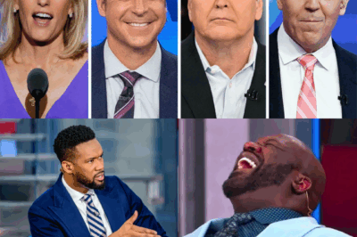 Big Shaq Turns Fox News Interview Into A Masterclass in Satirical Smackdown  By [Your Name]