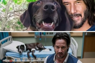 Keanu Reeves Humiliated in Hospital for Helping a Dog – What He Did Next Will Shock You!