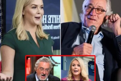 Karoline Leavitt DESTROYS Robert De Niro On Live TV – His Furious Reaction Goes INSANELY Viral