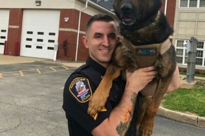 HE HELD HIS K9 PARTNER WITH A SMILE—BUT THE STORY BEHIND THIS PHOTO WILL BREAK YOU