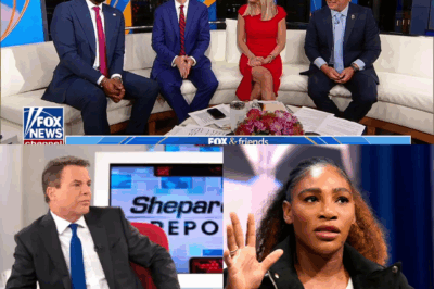 Serena Williams Surprises Fox News Viewers with Sharp Critical Thinking During Live Interview
