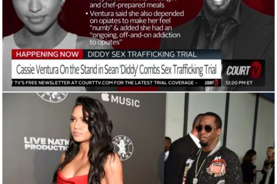 Diddy FREAKS OUT In Court As Cassie Reveals NEW Freak off Details on Day 3 of the Trial!