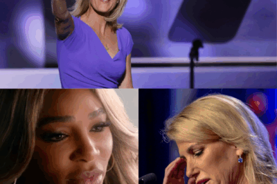 Shockwaves Across Media: Laura Ingraham Sparks Outrage with On-Air Attack on Serena Williams