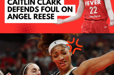 WNBA Probes Racist Remarks from Fans Following Angel Reese and Caitlin Clark’s Heated Opener