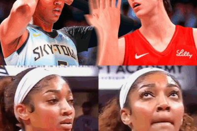 New Video Footage Surfaces With “Monkey” Noises Coming From The Crowd In Indiana During Angel Reese’s Free Throws After WNBA Announces Investigation Following Caitlin Clark Incident