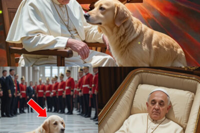 Pope Francis Called Out One Name Before He Died – Not His Mother, Not God, But…