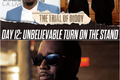 Diddy In Court: Day 12 – 100-Hour Empire & Witness Immunity