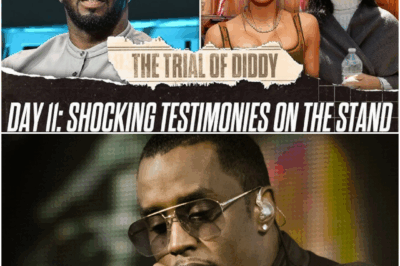 Diddy In Court: Day 11 – Cassie’s Mother Reveals Diddy’s Alleged Violence