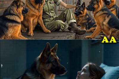 They Laughed When Female Veteran With Only Three Months To Live Adopted Five Stray Dogs!