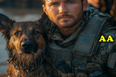 Unbreakable Bonds: A Soldier and His K9 Partner’s Silent Promise of Loyalty and Sacrifice