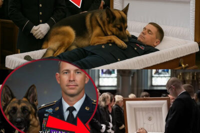 The funeral, a K9 dog jumped onto the veteran’s body—what happened next left everyone in tears…