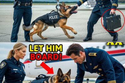 Police Dog Refused to Let the Pilot Board the Plane—What They Found Underneath Sent Them Running!