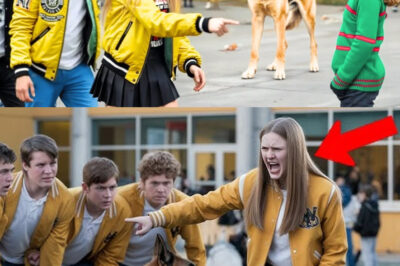Bullies Pick On The Wrong New Girl, Not Knowing Her Dog Is A Brutal Fighter!