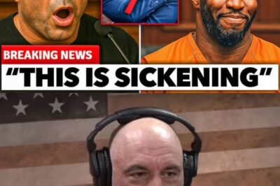 1 MINUTE AGO: Joe Rogan’s Courtroom Testimony BLOWS Open Diddy Scandal…