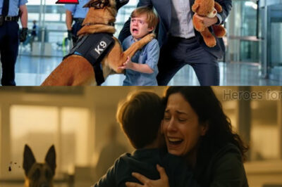 The K9 Dog Who Disobeyed Orders… and Saved a Boy from a Dangerous Stranger