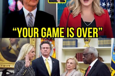 Karoline Leavitt Shocks TV By Exploding And Destroying Bill Maher Live On Air After Controversial Meeting With Pam Bondi