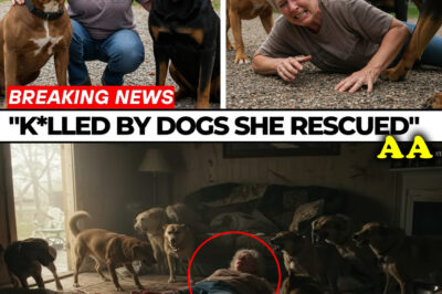 Attacked By Her Own Dogs – The TERRIFYING Last Moments of Dog Rescuer Lacey Duvall