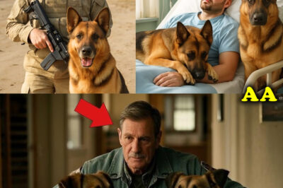 Army Vet Adopts Both Of His Bomb Sniffing Dogs, What Happened After Will Shock You!