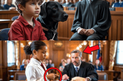 Boy in Red Sends Secret Signal to Dog — Courtroom Freezes in Shock!