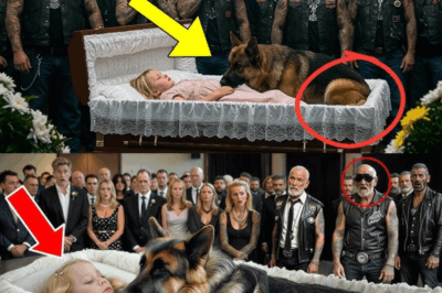 German Shepherd K9 Refused To Get Out Of Girl’s Coffin — Then Soldiers Discovered The Shocking Truth