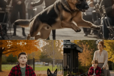 Delivery Driver Mocked a Boy’s Dog—Unaware It Was a Trained K9 Protector