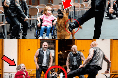 Biker Kicks Girl’s Dog Without Knowing It Was a Retired K9 Police Dog