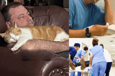 The Cat Didn‘t Let Him Sleep Alone Anymore😱