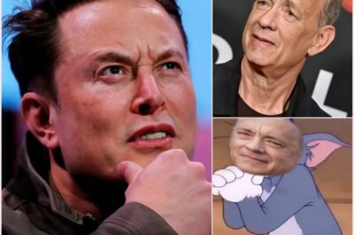 🔥Breaking news: Hollywood is in turmoil again with Elon Musk’s PUNISHMENT for Tom Hanks after the actor insulted him. Immediately, Tom Hanks had to kneel down and beg Elon Musk👇👇