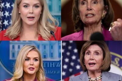 Karoline Leavitt DESTR0YS Nancy Pelosi on Live TV — Even Dem0crats Were Left Stunned and Speechless!