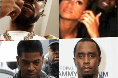 Kid Cudi Believes Cassie Sold Him Out to Diddy
